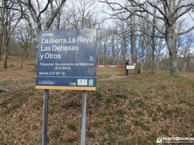 Roble de los 17 hermanos y Chorrera de Eriales; rutas alto tajo valle de aran senderismo agencias de